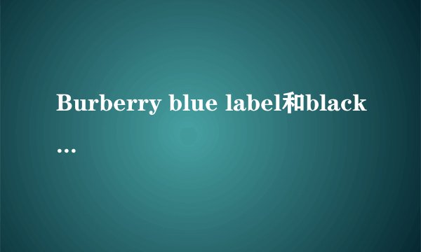 Burberry blue label和black label的区别