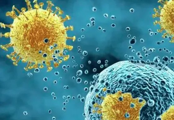 31省份新增51例本土，这些病例涉及到了哪些地方？