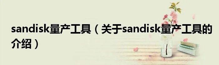 sandisk量产工具（关于sandisk量产工具的介绍）