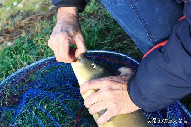 钓鱼人化绍新，李大毛越钓越有钱；更多人“钓鱼穷三年”，请问大家怎么看待这个现象？