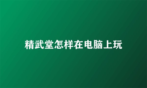 精武堂怎样在电脑上玩