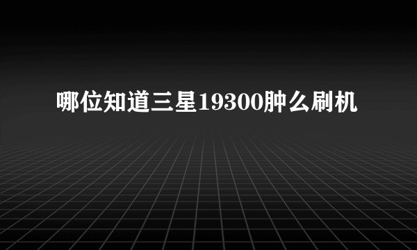 哪位知道三星19300肿么刷机