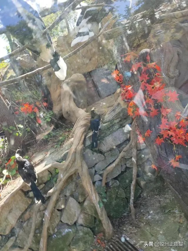 刚结婚公公就不停说娶儿媳妇花钱多，你们怎么看呢？