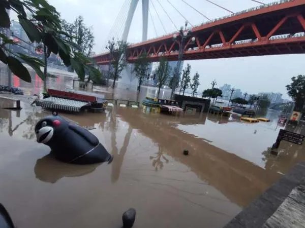 重庆还有一只熊本熊在漂流，熊本熊是否已经被找到？