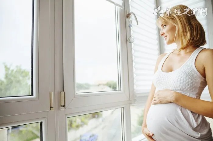 白毫银针多少钱一斤