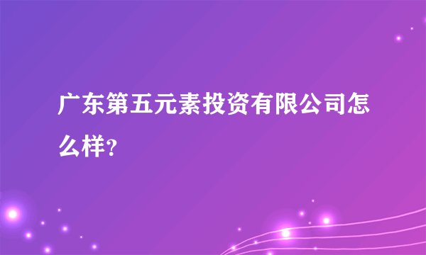 广东第五元素投资有限公司怎么样？