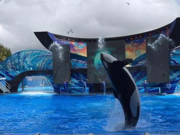 美国本土最大的迪士尼乐园在什么地方?门票多少钱?