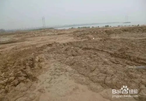 盐碱地改良方法