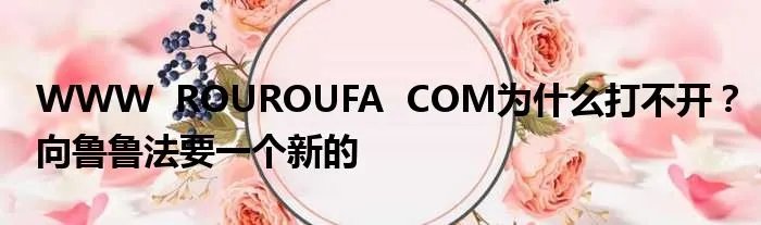 WWW ROUROUFA COM为什么打不开?向鲁鲁法要一个新的