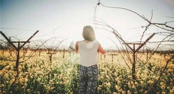 男人出轨离婚后,就不要再想着复婚,因为你不配,为何?