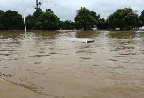 受降雨影响秦淮河洪水发出橙色预警，橙色预警是什么意思？