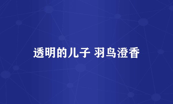 透明的儿子 羽鸟澄香