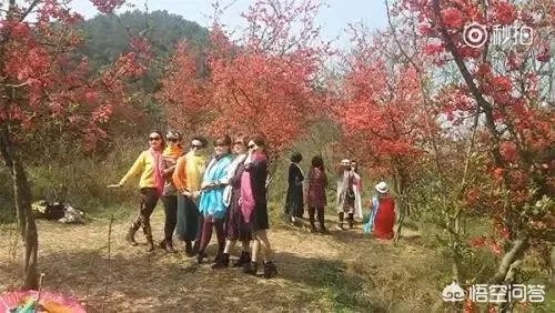 阿姨们照相带7条丝巾挪10次地方，丝巾墨镜成妈妈拍照必备，你的妈妈爱拍丝巾照吗？