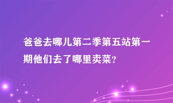 爸爸去哪儿第二季第五站第一期他们去了哪里卖菜？
