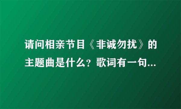 请问相亲节目《非诚勿扰》的主题曲是什么？歌词有一句是“往前一步是幸福，退后一步是孤独”