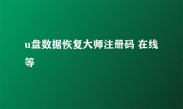 u盘数据恢复大师注册码 在线等