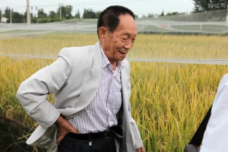 沙漠种植水稻成功 为保障全球粮食安全再添中国贡献