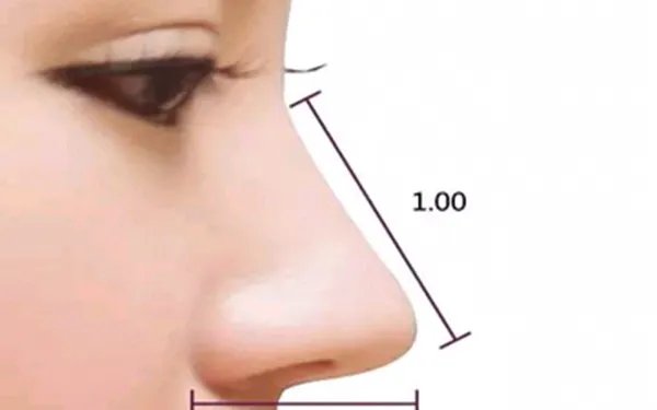 鼻头缩小手术的价格是多少