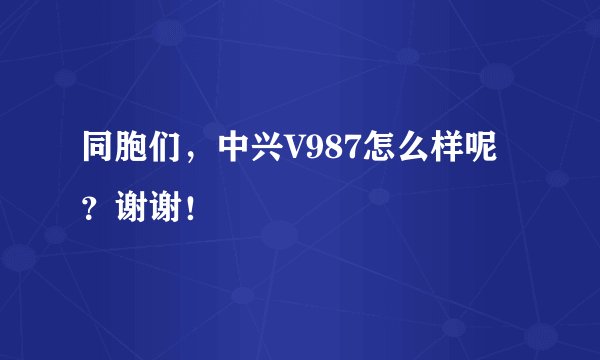 同胞们，中兴V987怎么样呢？谢谢！