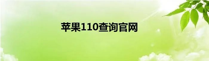 苹果110查询官网