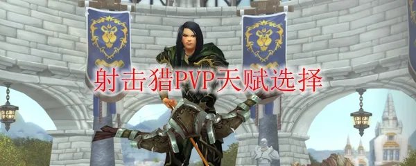魔兽世界9.0射击猎PVP天赋选择