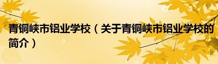 青铜峡市铝业学校（关于青铜峡市铝业学校的简介）