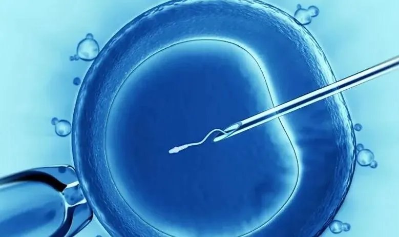 试管宫外孕的症状有哪些表现-广州中山大学附属第一医院试管婴儿多少钱（2023年更新（今日/新华网）：