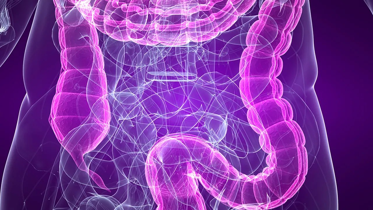 大便次数多的原因