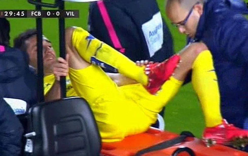 布鲁诺的基本资料