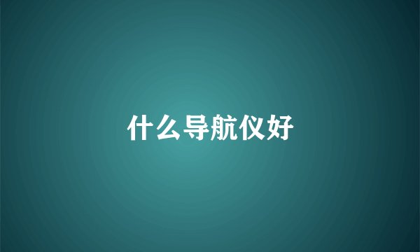 什么导航仪好