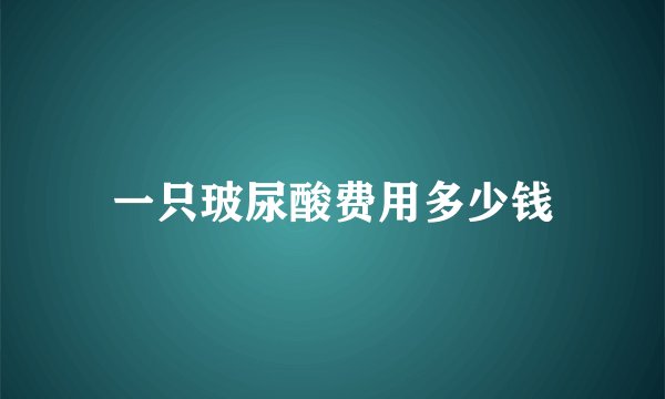 一只玻尿酸费用多少钱