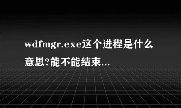 wdfmgr.exe这个进程是什么意思?能不能结束,怎么样删除?