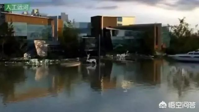 你对长江新城规划前景是如何看的?