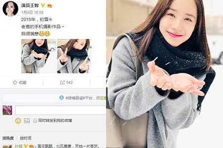 王智领证结婚很低调 微博晒雪中照片网友赞好美