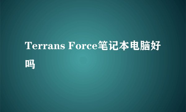 Terrans Force笔记本电脑好吗