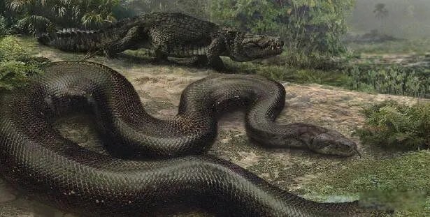 塞雷洪泰坦蟒的图片长什么样 有多大灭绝了吗