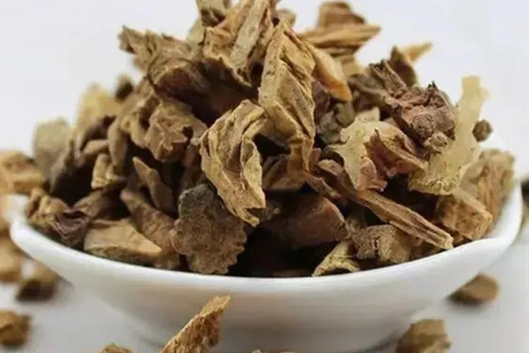 百部根药材图片