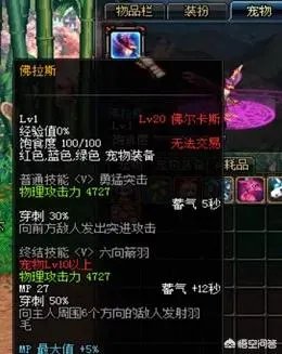 dnf特别宠物礼盒能开到什么dnf特别宠物?