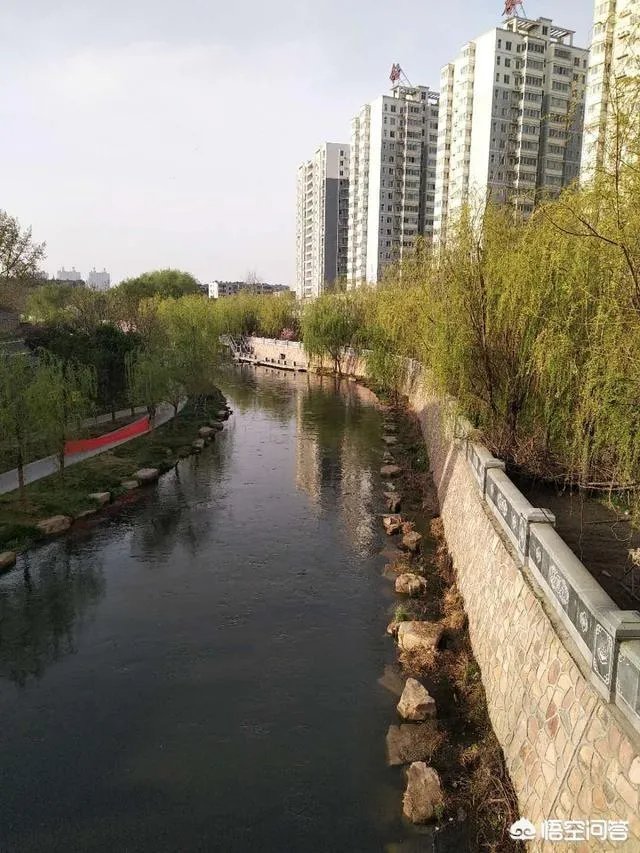 在洛阳二十万能买到个门面房么?