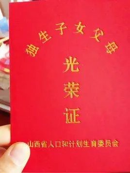 独生子女证办理流程