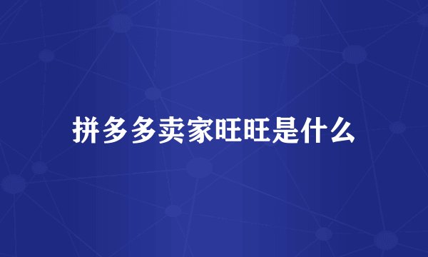 拼多多卖家旺旺是什么