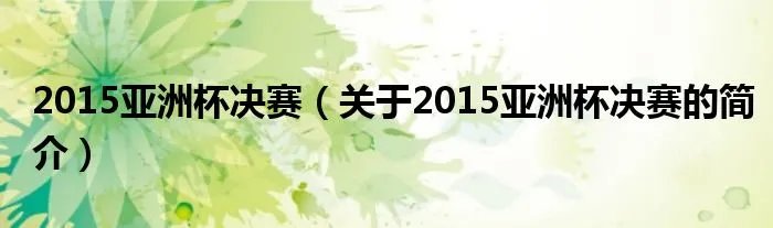 2015亚洲杯决赛（关于2015亚洲杯决赛的简介）