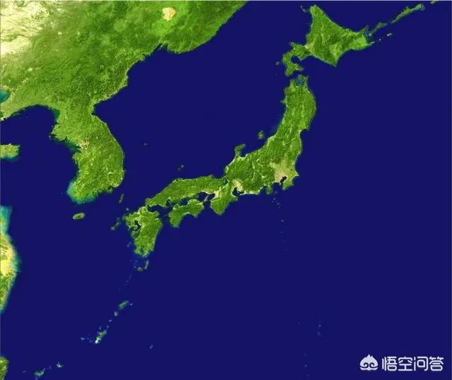 日本除了大和族还有别的民族吗？