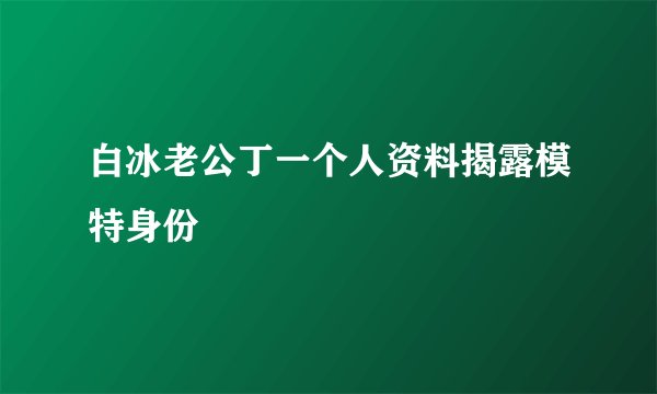白冰老公丁一个人资料揭露模特身份