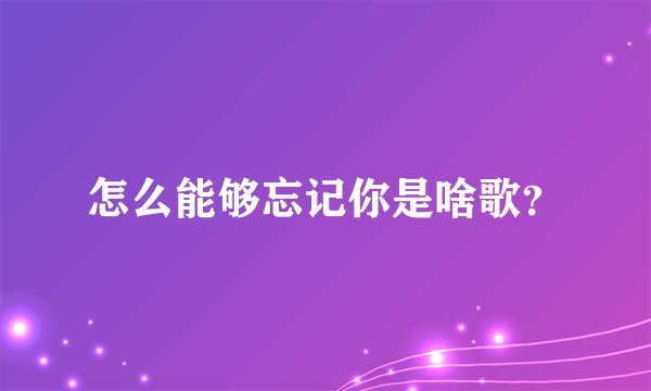 怎么能够忘记你是啥歌？