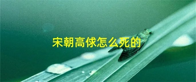 宋朝高俅怎么死的