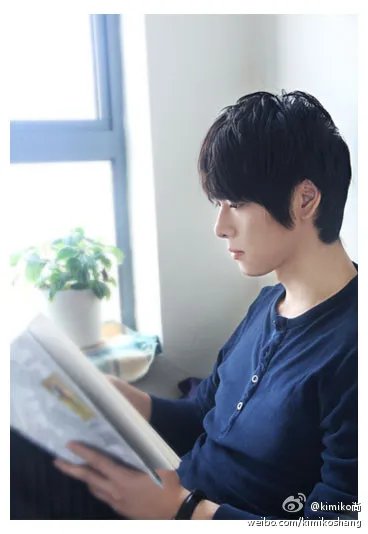 求图片：花火小狮照片