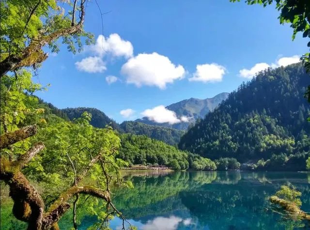九寨沟地震过后又形成新的景点，你还会去吗？