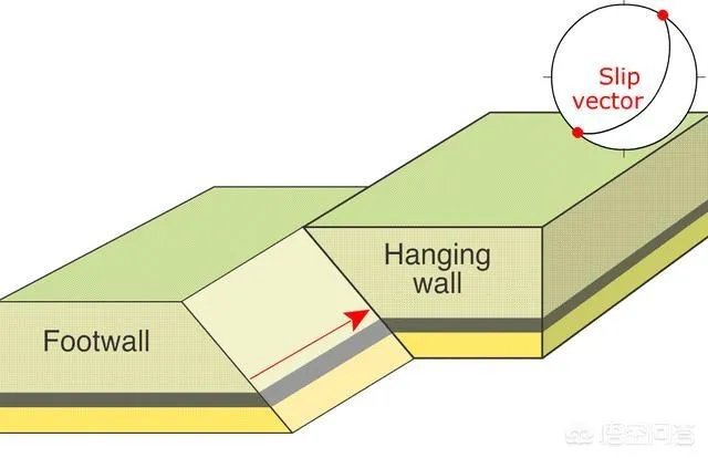 鱼跳上岸是什么征兆