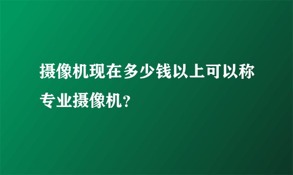 摄像机现在多少钱以上可以称专业摄像机？